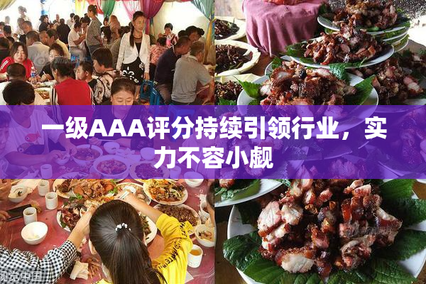 一级AAA评分持续引领行业，实力不容小觑