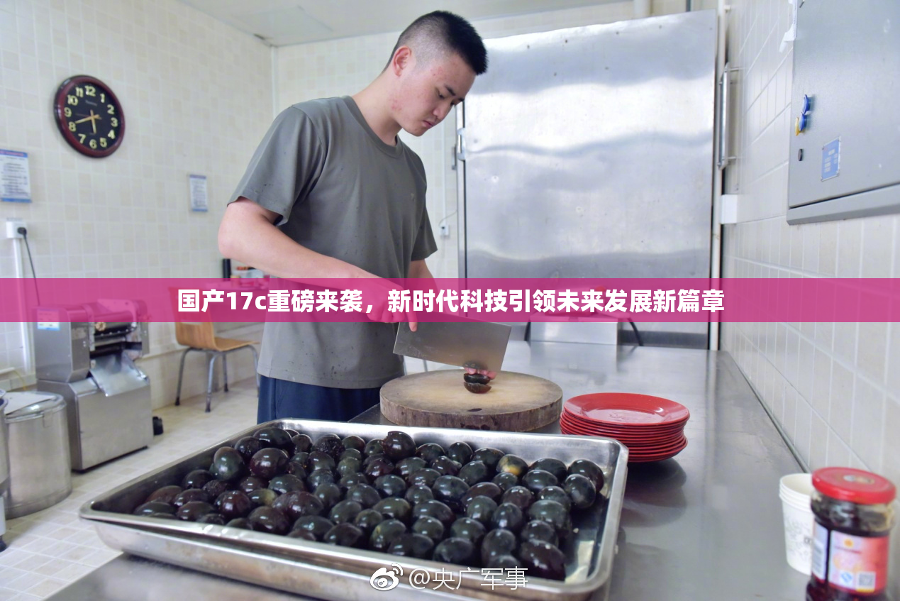 国产17c重磅来袭，新时代科技引领未来发展新篇章