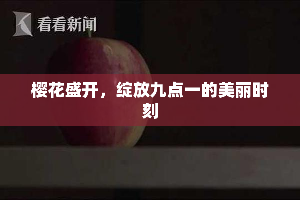 樱花盛开，绽放九点一的美丽时刻