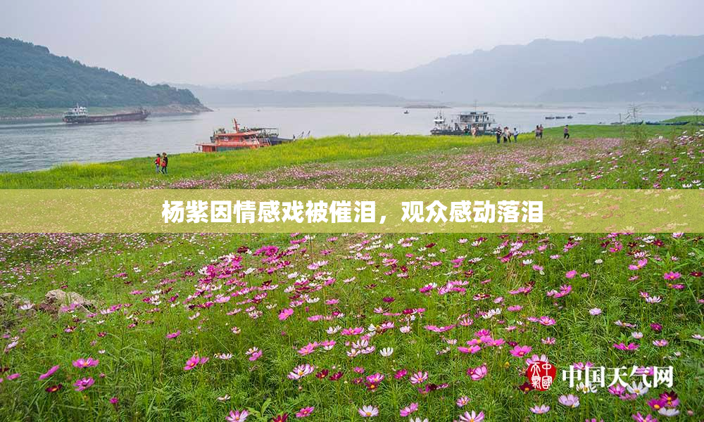 杨紫因情感戏被催泪，观众感动落泪