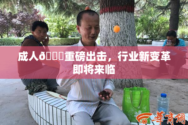 成人🔞重磅出击，行业新变革即将来临