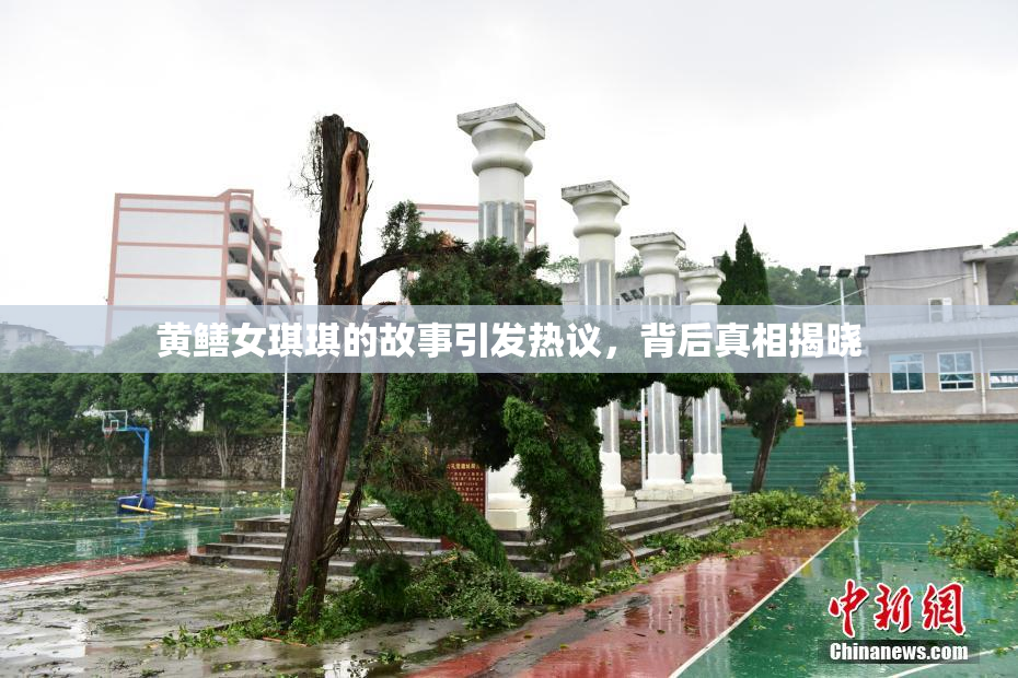 黄鳝女琪琪的故事引发热议，背后真相揭晓
