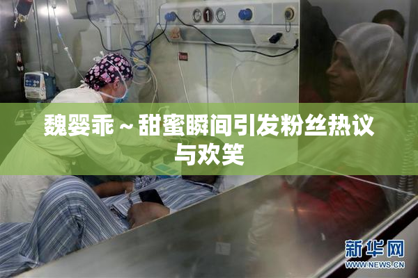 魏婴乖～甜蜜瞬间引发粉丝热议与欢笑