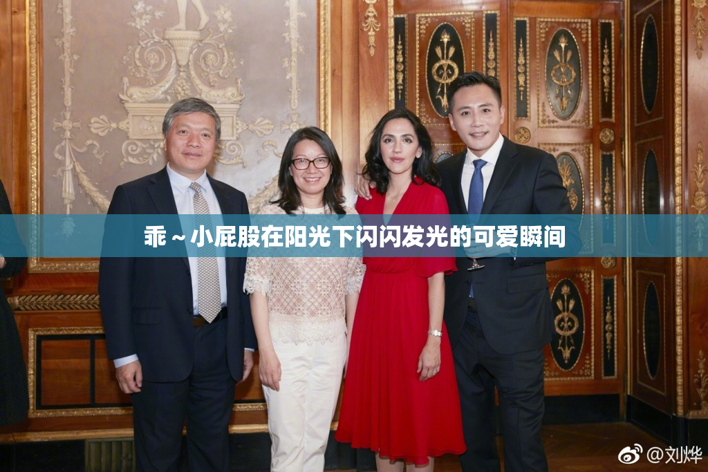 乖～小屁股在阳光下闪闪发光的可爱瞬间