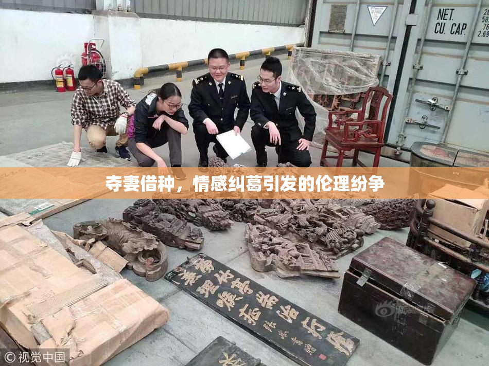 夺妻借种，情感纠葛引发的伦理纷争