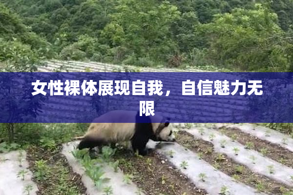 女性裸体展现自我，自信魅力无限