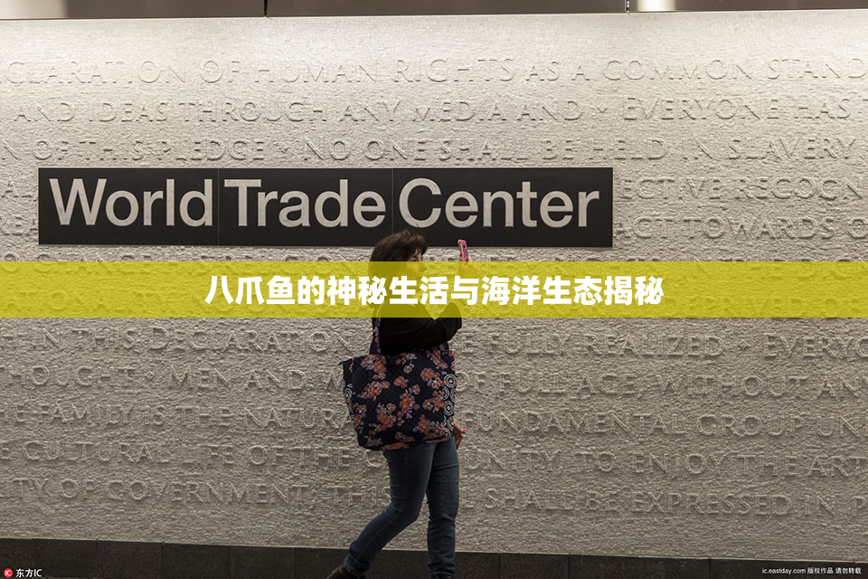 八爪鱼的神秘生活与海洋生态揭秘