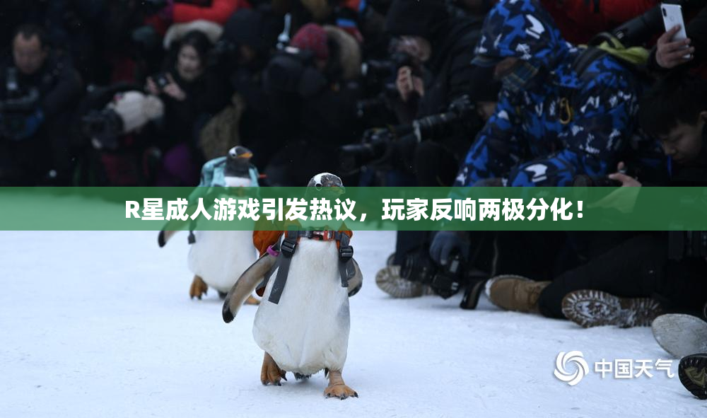 R星成人游戏引发热议，玩家反响两极分化！