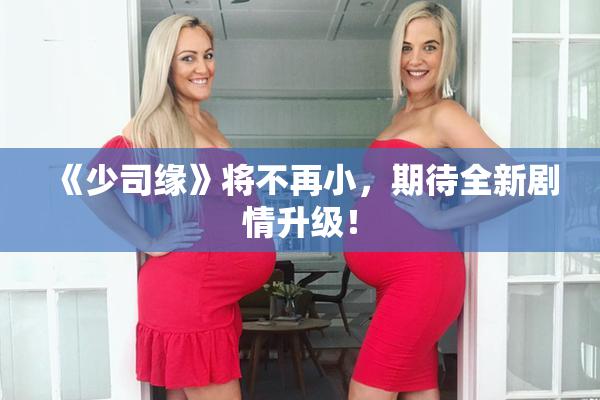 《少司缘》将不再小，期待全新剧情升级！