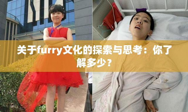 关于furry文化的探索与思考：你了解多少？