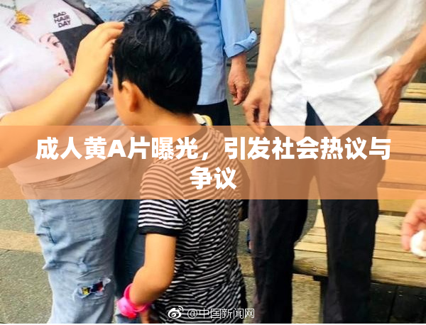 成人黄A片曝光，引发社会热议与争议