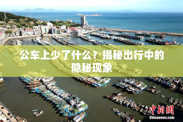 公车上少了什么？揭秘出行中的隐秘现象