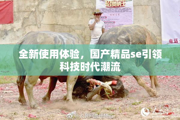 全新使用体验，国产精品se引领科技时代潮流