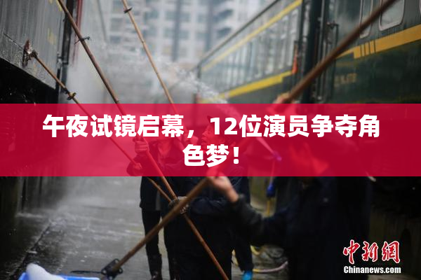 午夜试镜启幕，12位演员争夺角色梦！