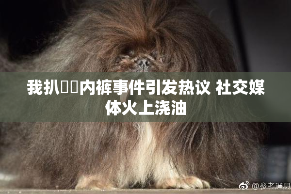 我扒妺妺内裤事件引发热议 社交媒体火上浇油