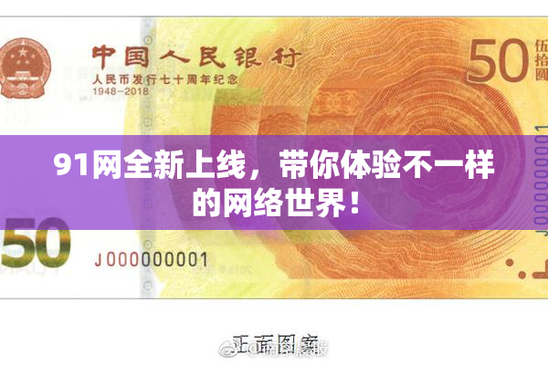 91网全新上线，带你体验不一样的网络世界！