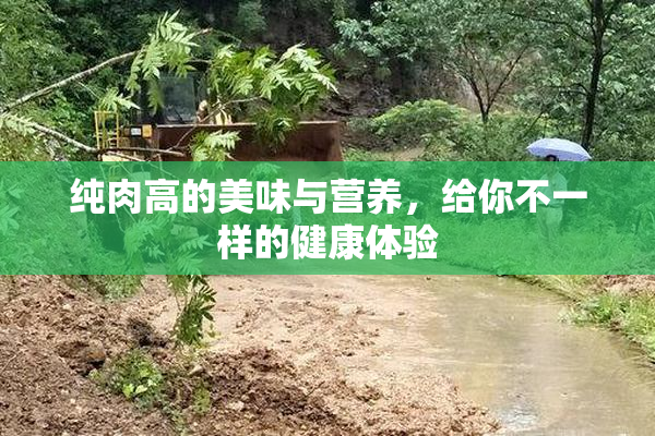 纯肉高的美味与营养，给你不一样的健康体验