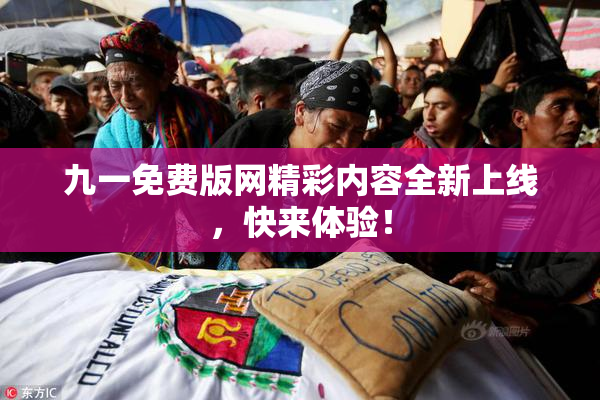 九一免费版网精彩内容全新上线，快来体验！