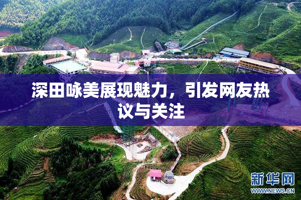 深田咏美展现魅力，引发网友热议与关注