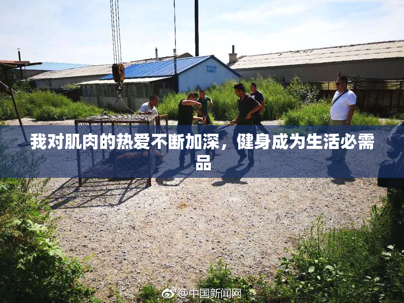 我对肌肉的热爱不断加深，健身成为生活必需品