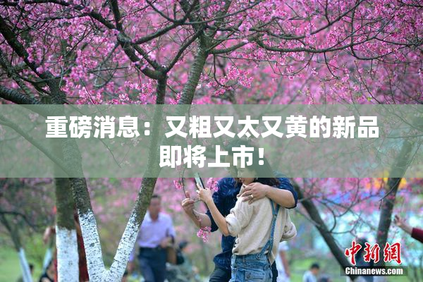 重磅消息：又粗又太又黄的新品即将上市！