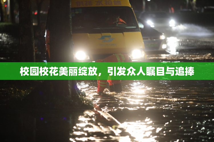 校园校花美丽绽放，引发众人瞩目与追捧