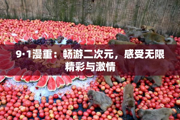 9·1漫重：畅游二次元，感受无限精彩与激情
