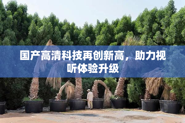 国产高清科技再创新高，助力视听体验升级