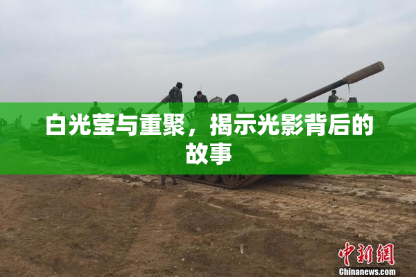 白光莹与重聚，揭示光影背后的故事