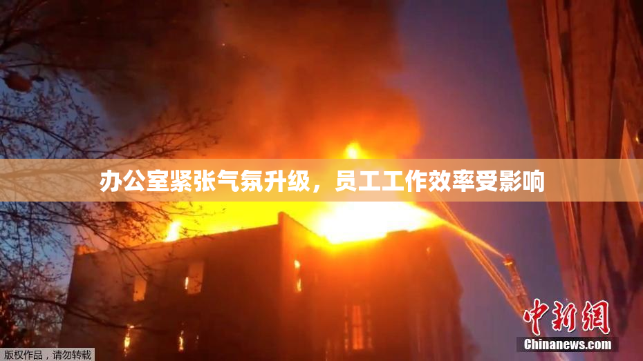 办公室紧张气氛升级，员工工作效率受影响