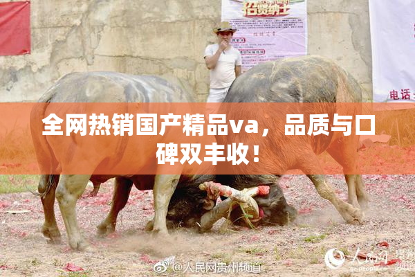 全网热销国产精品va，品质与口碑双丰收！