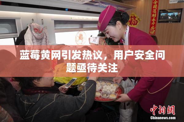蓝莓黄网引发热议，用户安全问题亟待关注