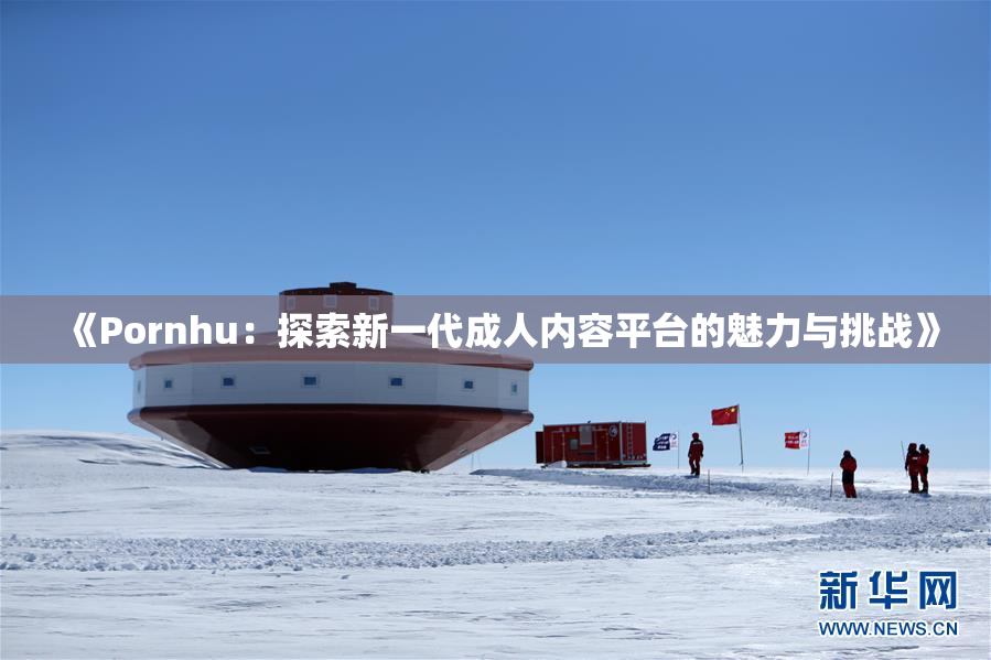《Pornhu：探索新一代成人内容平台的魅力与挑战》