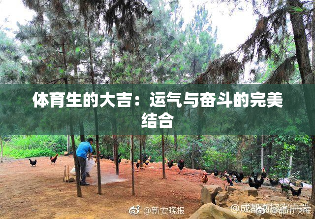 体育生的大吉：运气与奋斗的完美结合