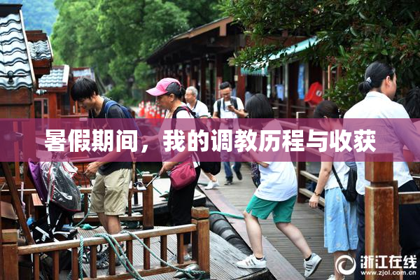 暑假期间，我的调教历程与收获