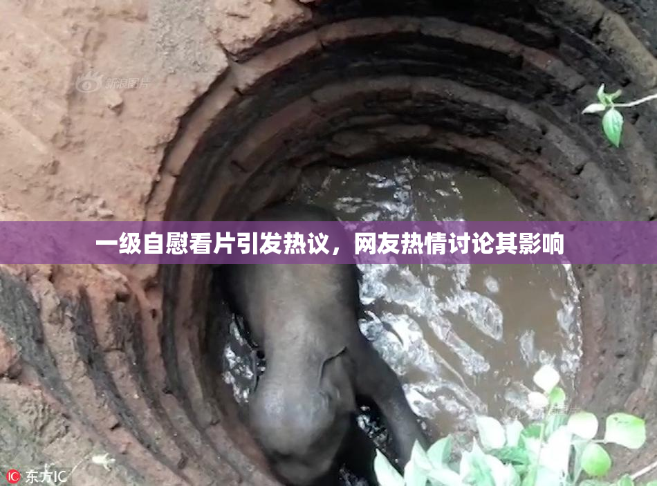 一级自慰看片引发热议，网友热情讨论其影响