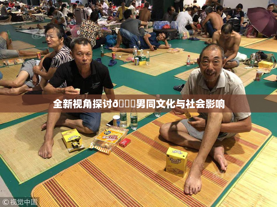 全新视角探讨🔞男同文化与社会影响