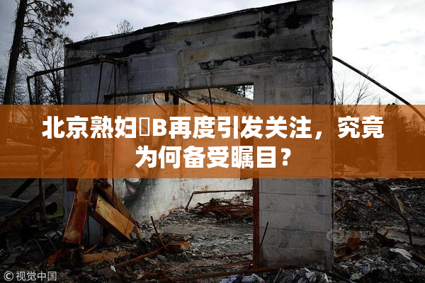 北京熟妇槡B再度引发关注，究竟为何备受瞩目？