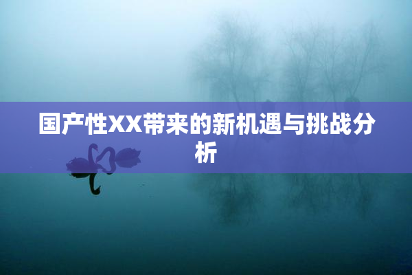 国产性XX带来的新机遇与挑战分析
