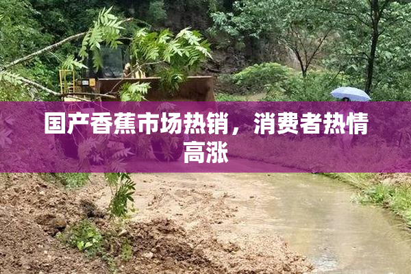 国产香蕉市场热销，消费者热情高涨