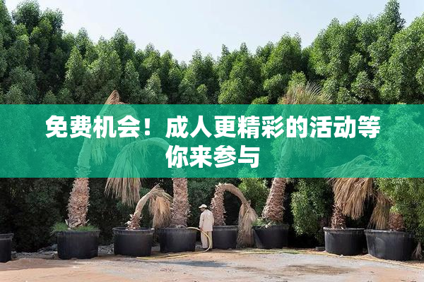 免费机会！成人更精彩的活动等你来参与