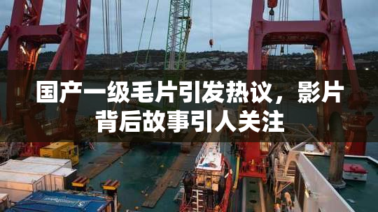 国产一级毛片引发热议，影片背后故事引人关注