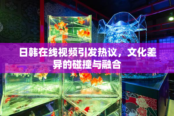 日韩在线视频引发热议，文化差异的碰撞与融合