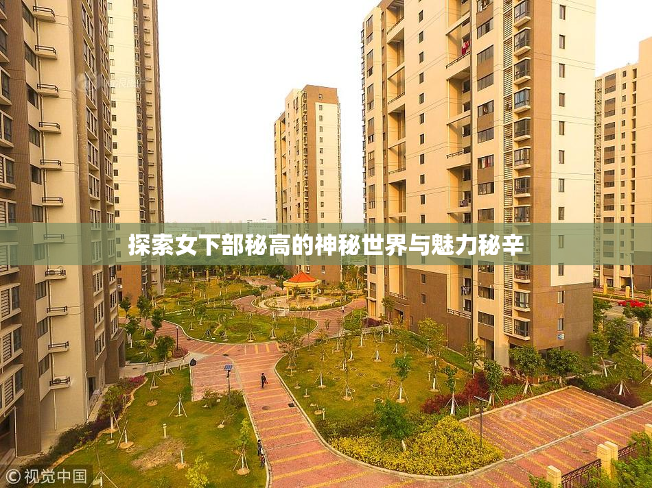 探索女下部秘高的神秘世界与魅力秘辛