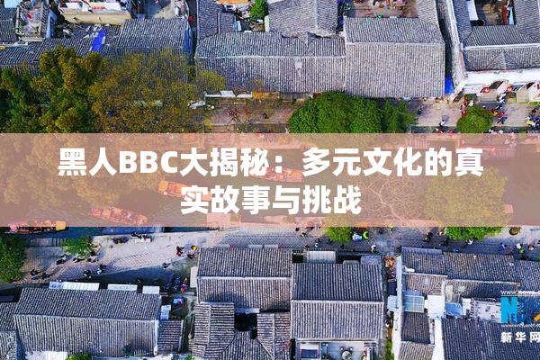 黑人BBC大揭秘：多元文化的真实故事与挑战