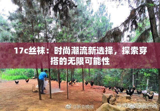 17c丝袜：时尚潮流新选择，探索穿搭的无限可能性