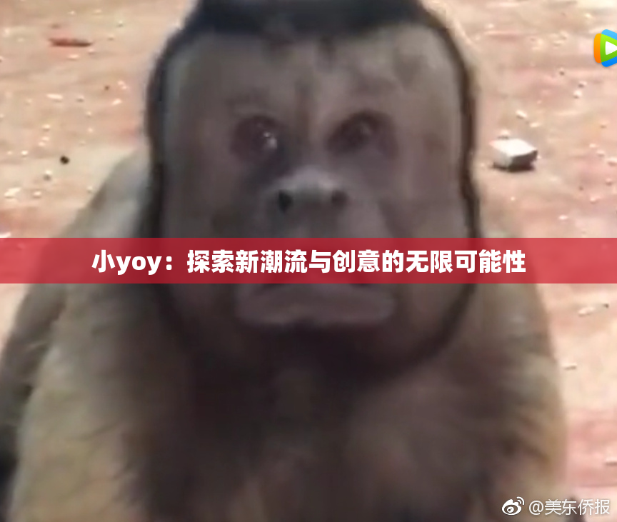 小yoy：探索新潮流与创意的无限可能性