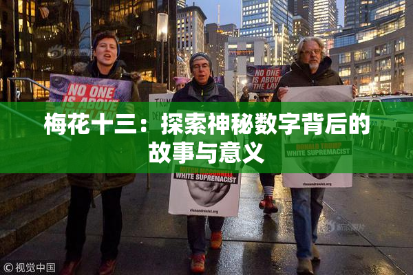 梅花十三：探索神秘数字背后的故事与意义