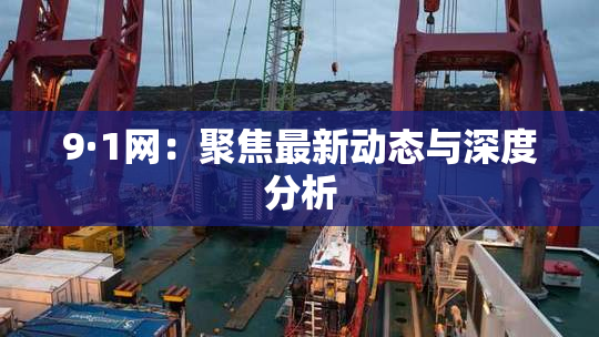 9·1网：聚焦最新动态与深度分析
