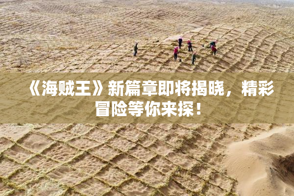 《海贼王》新篇章即将揭晓，精彩冒险等你来探！